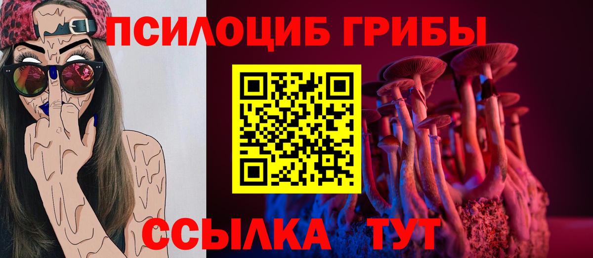 продажа наркотиков  Вход с VPN  Псилоцибиновые грибы мухоморы  Севастополь  Псилоцибиновые грибы Psilocybine cubensis 